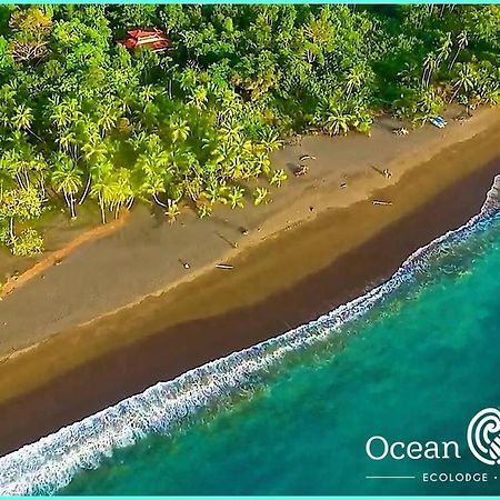 Ocean Forest Ecolodge San Pedrillo ภายนอก รูปภาพ