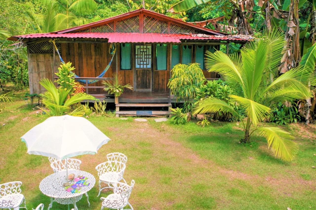 Ocean Forest Ecolodge San Pedrillo ภายนอก รูปภาพ
