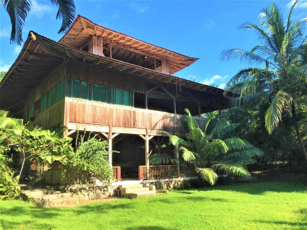 Ocean Forest Ecolodge San Pedrillo ภายนอก รูปภาพ