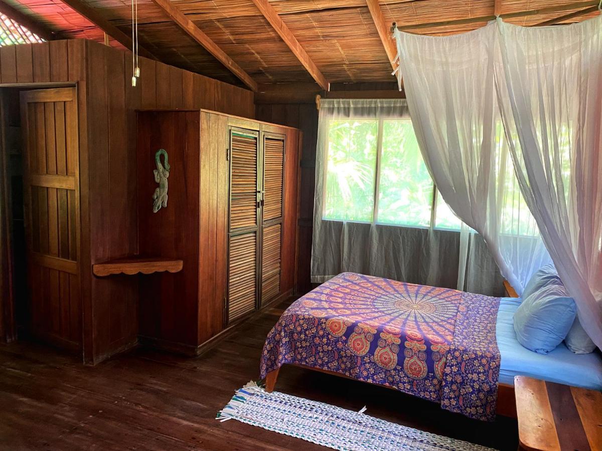 Ocean Forest Ecolodge San Pedrillo ภายนอก รูปภาพ