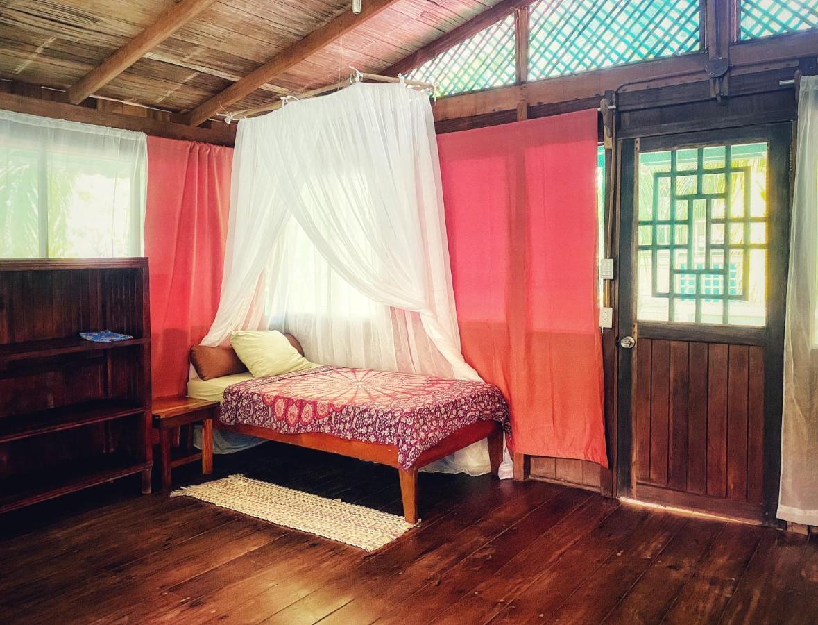 Ocean Forest Ecolodge San Pedrillo ภายนอก รูปภาพ