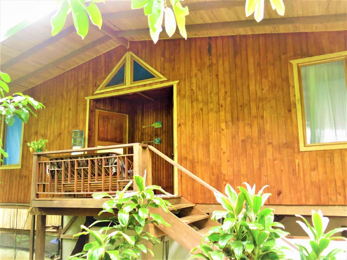 Ocean Forest Ecolodge San Pedrillo ภายนอก รูปภาพ