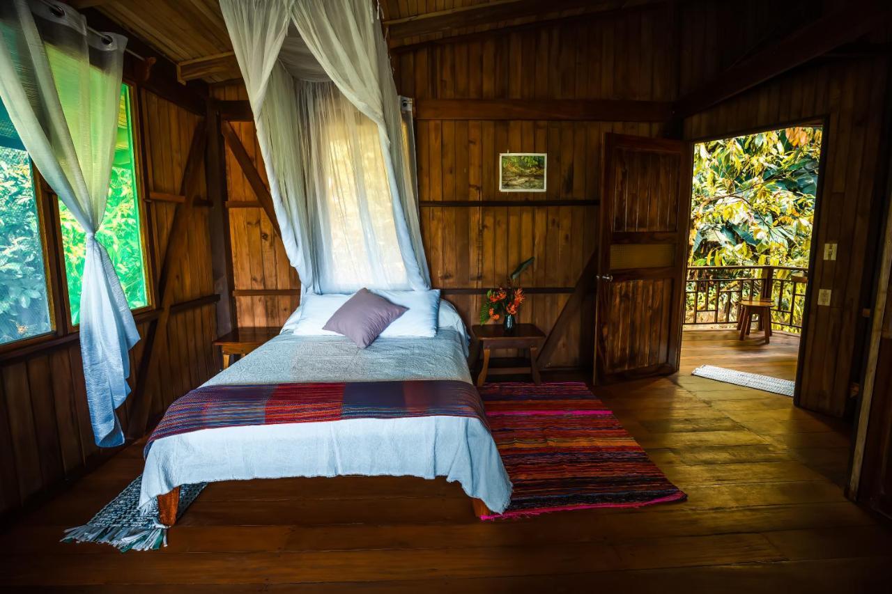 Ocean Forest Ecolodge San Pedrillo ภายนอก รูปภาพ