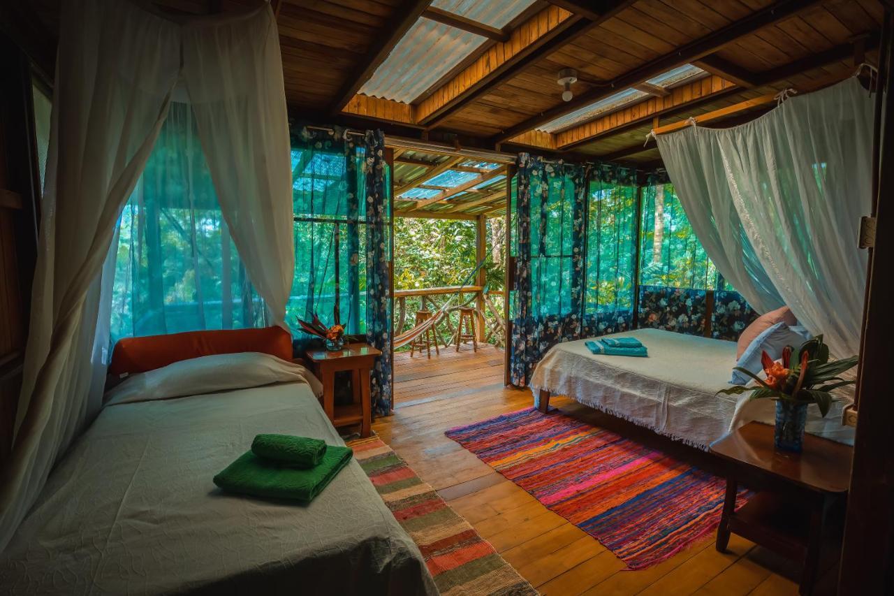 Ocean Forest Ecolodge San Pedrillo ภายนอก รูปภาพ