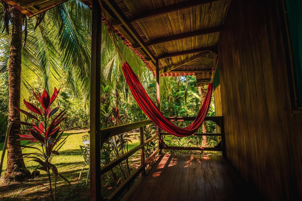 Ocean Forest Ecolodge San Pedrillo ภายนอก รูปภาพ