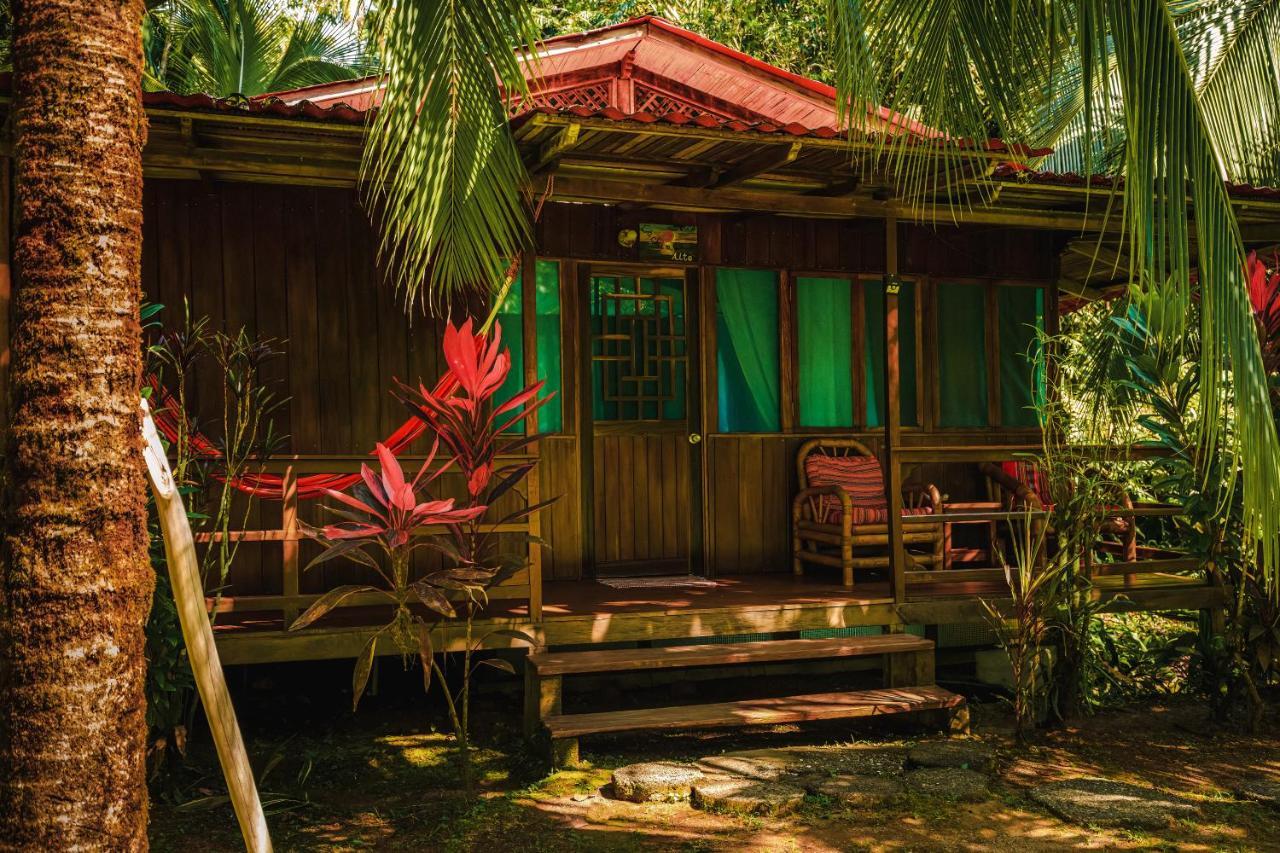 Ocean Forest Ecolodge San Pedrillo ภายนอก รูปภาพ