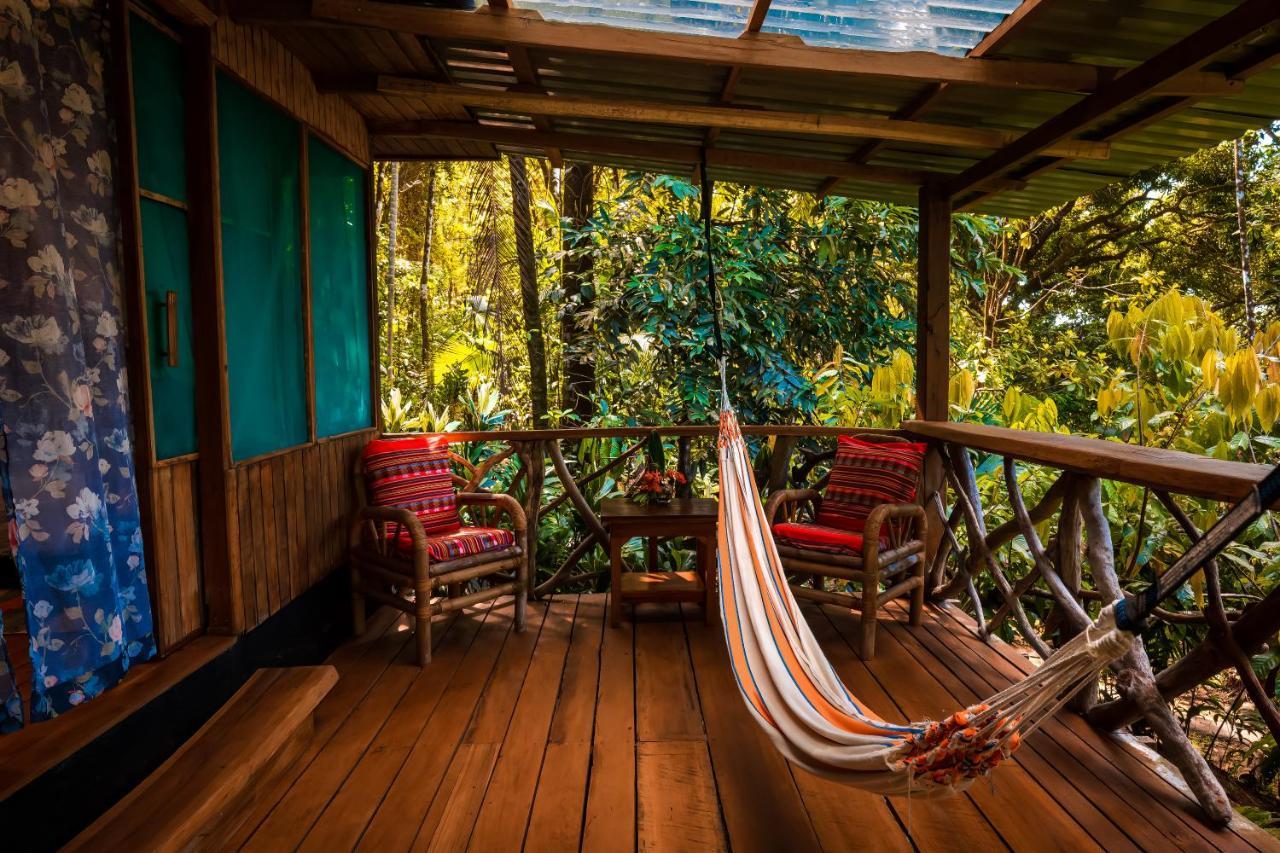 Ocean Forest Ecolodge San Pedrillo ภายนอก รูปภาพ