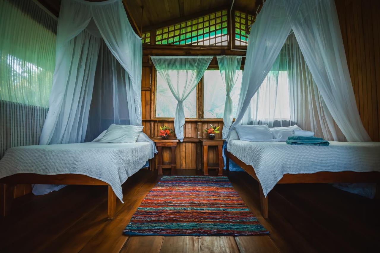 Ocean Forest Ecolodge San Pedrillo ภายนอก รูปภาพ