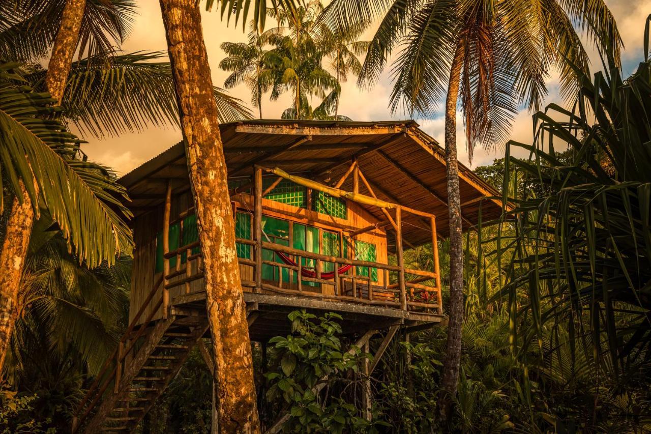 Ocean Forest Ecolodge San Pedrillo ภายนอก รูปภาพ