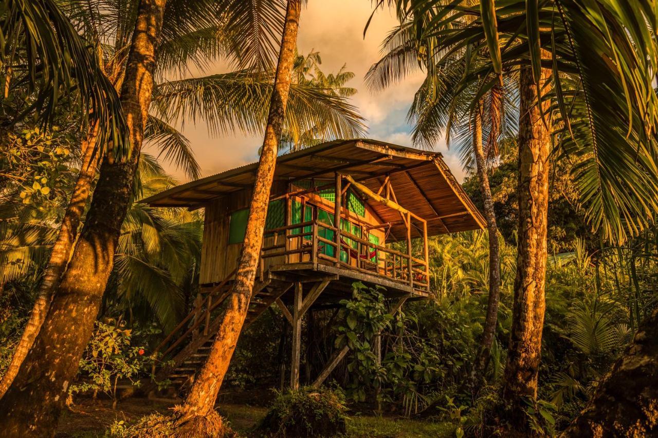 Ocean Forest Ecolodge San Pedrillo ภายนอก รูปภาพ