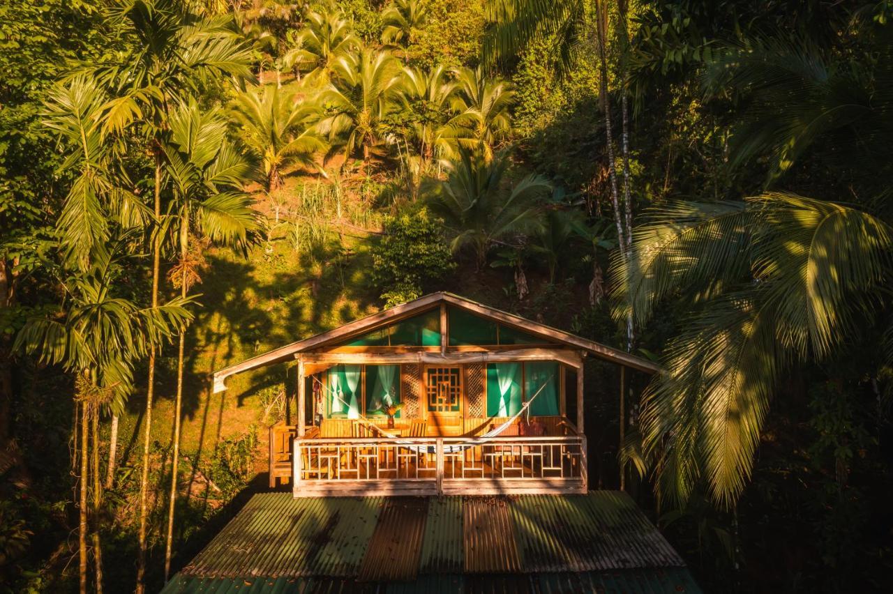 Ocean Forest Ecolodge San Pedrillo ภายนอก รูปภาพ