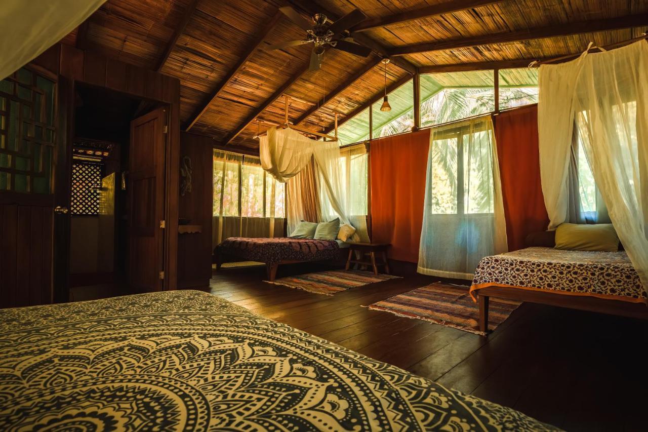 Ocean Forest Ecolodge San Pedrillo ภายนอก รูปภาพ