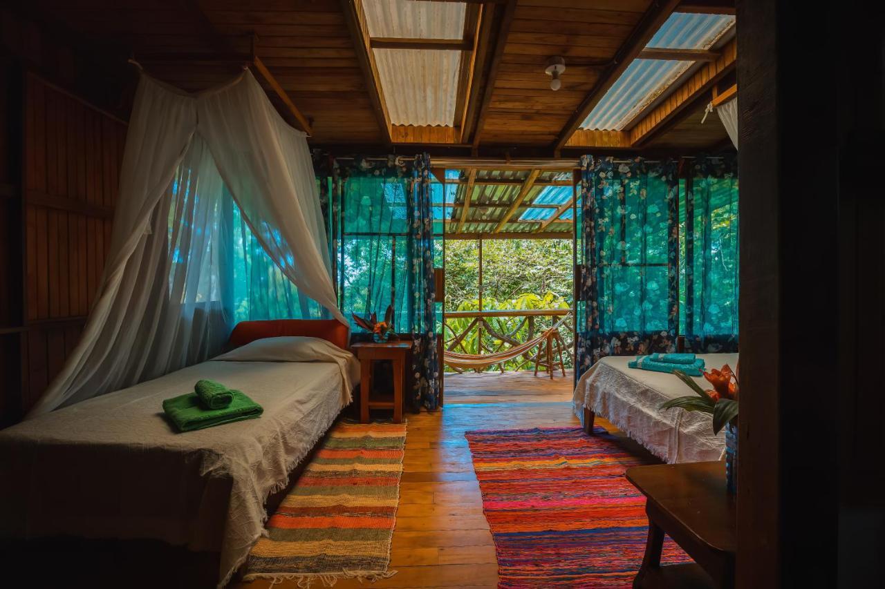 Ocean Forest Ecolodge San Pedrillo ภายนอก รูปภาพ