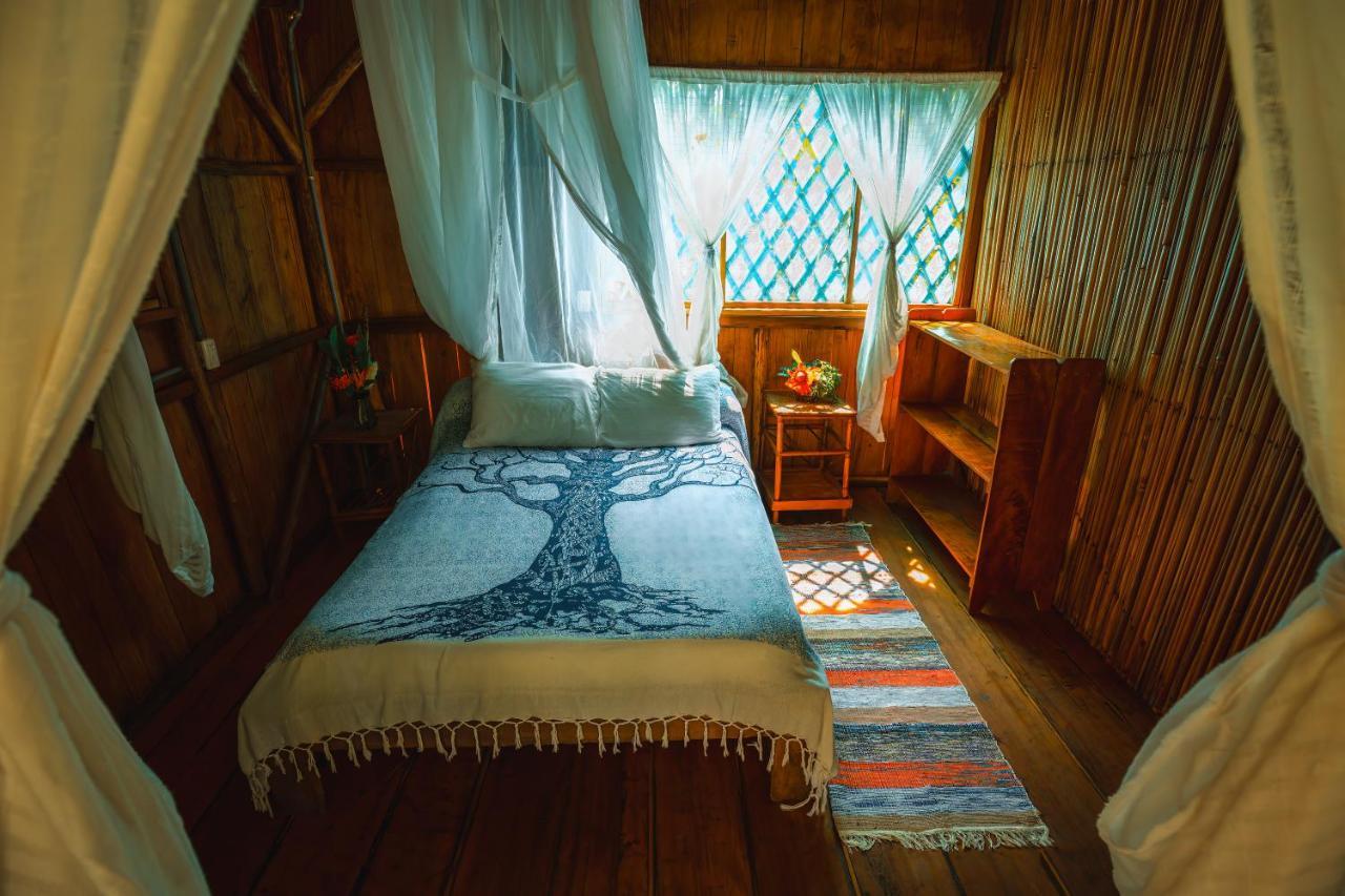 Ocean Forest Ecolodge San Pedrillo ภายนอก รูปภาพ
