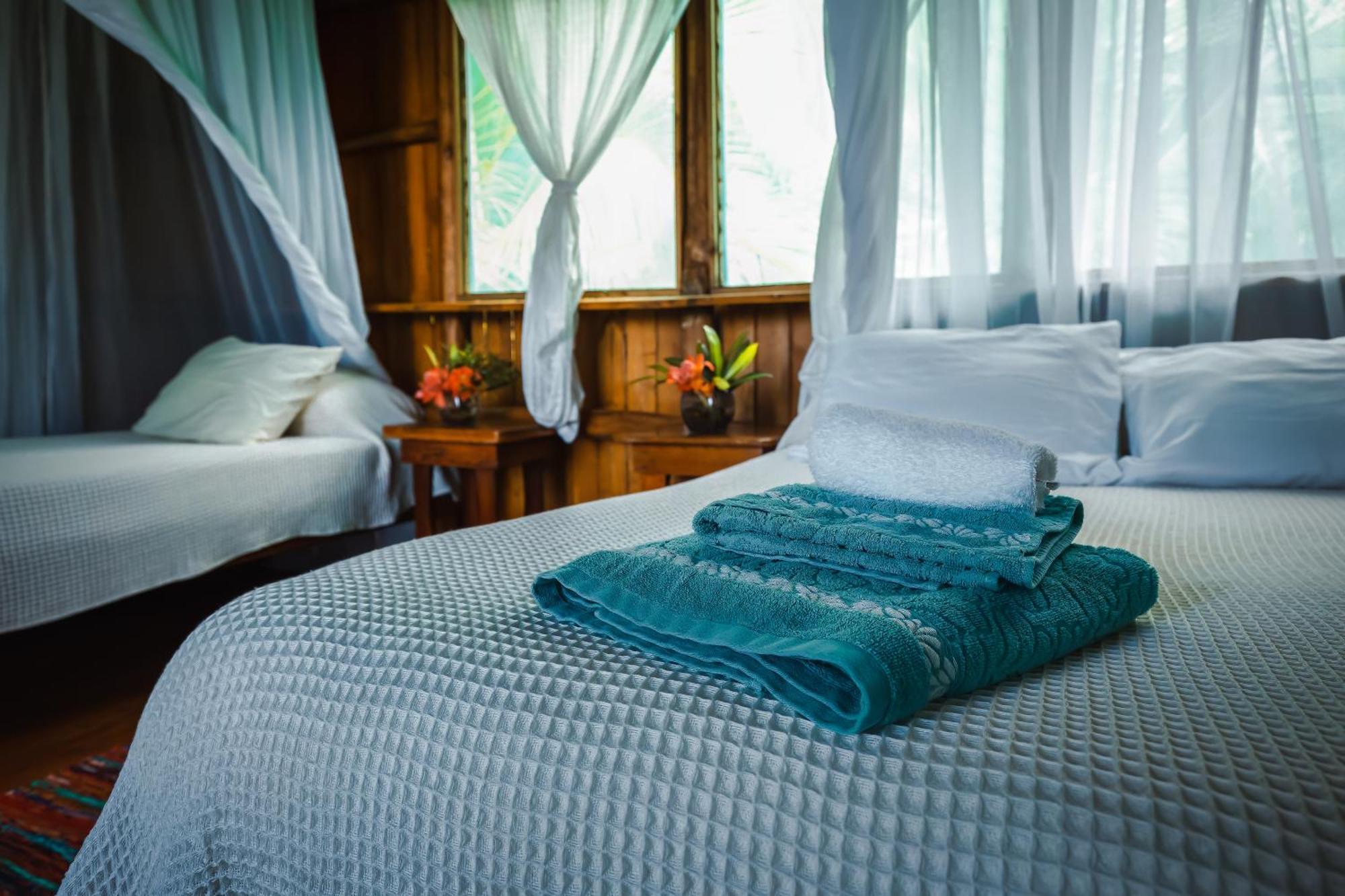 Ocean Forest Ecolodge San Pedrillo ภายนอก รูปภาพ