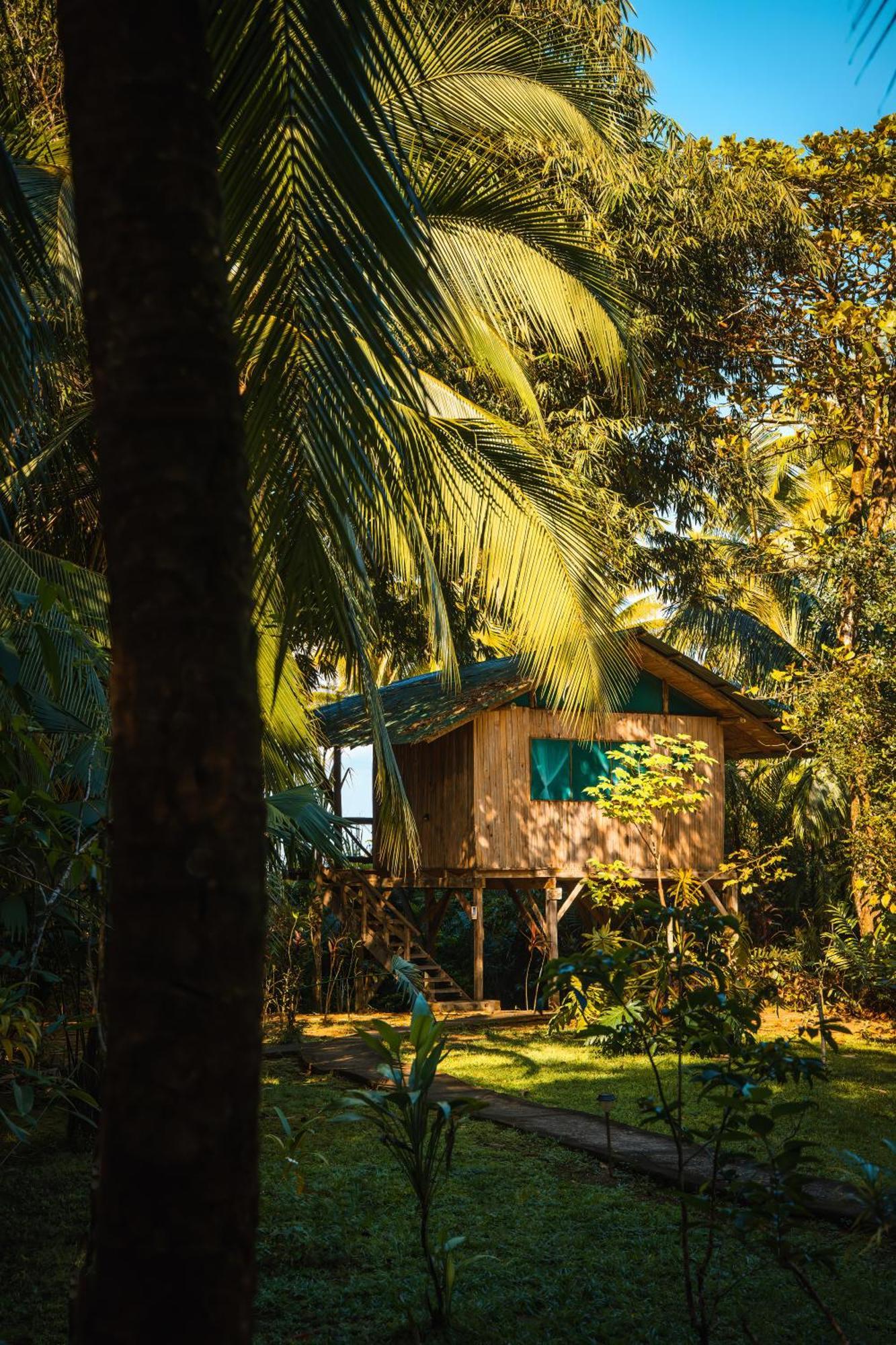 Ocean Forest Ecolodge San Pedrillo ภายนอก รูปภาพ