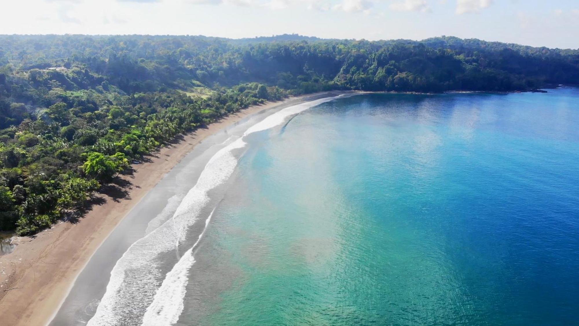 Ocean Forest Ecolodge San Pedrillo ภายนอก รูปภาพ