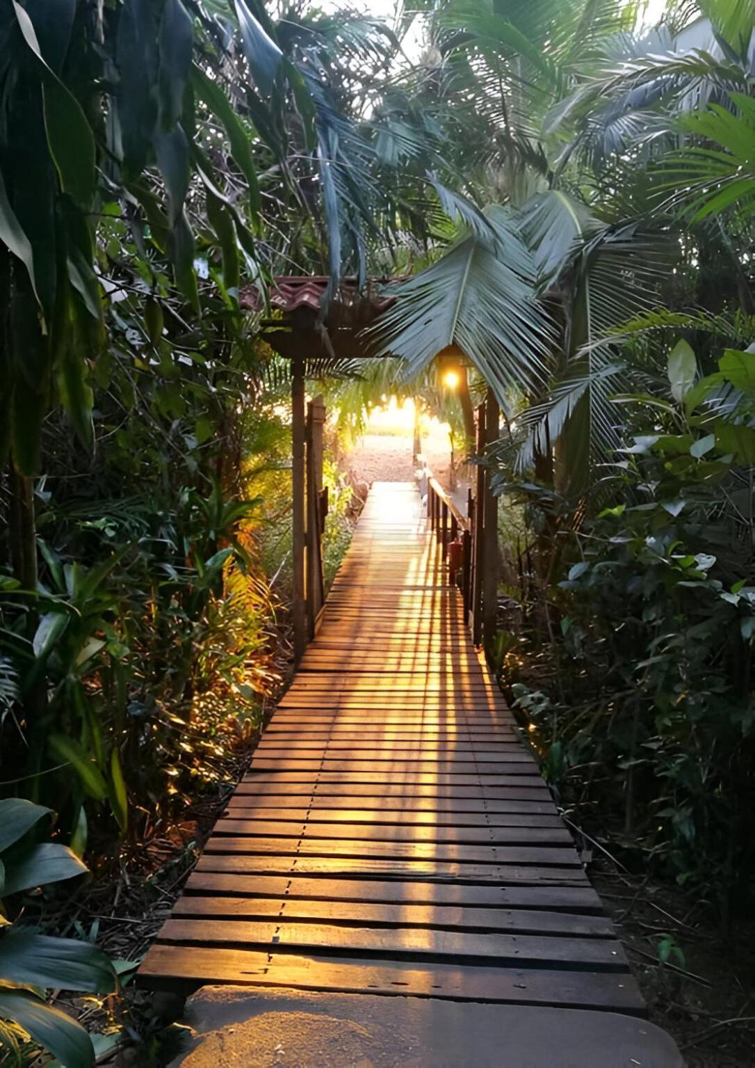 Ocean Forest Ecolodge San Pedrillo ภายนอก รูปภาพ