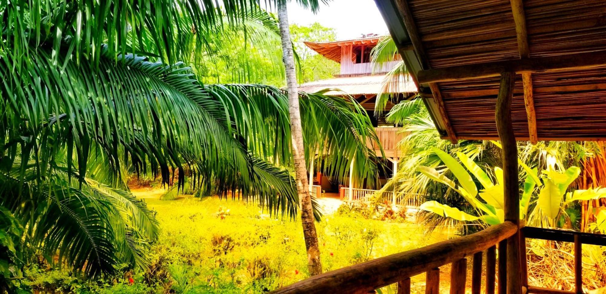 Ocean Forest Ecolodge San Pedrillo ภายนอก รูปภาพ
