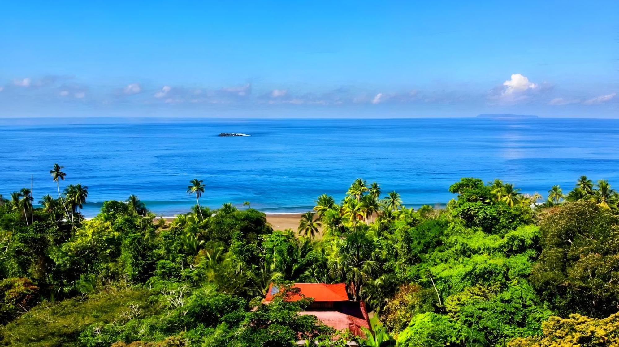Ocean Forest Ecolodge San Pedrillo ภายนอก รูปภาพ