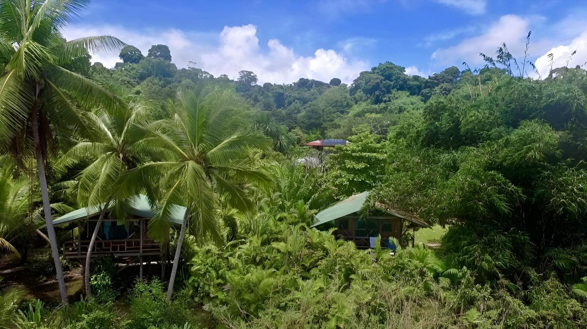 Ocean Forest Ecolodge San Pedrillo ภายนอก รูปภาพ