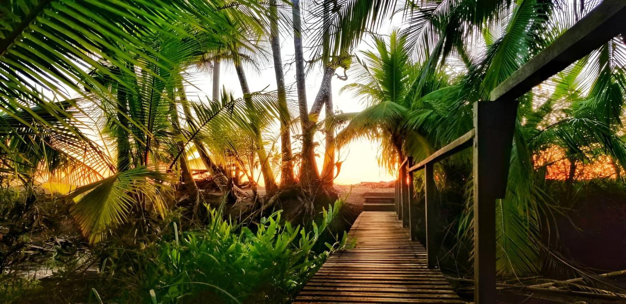Ocean Forest Ecolodge San Pedrillo ภายนอก รูปภาพ