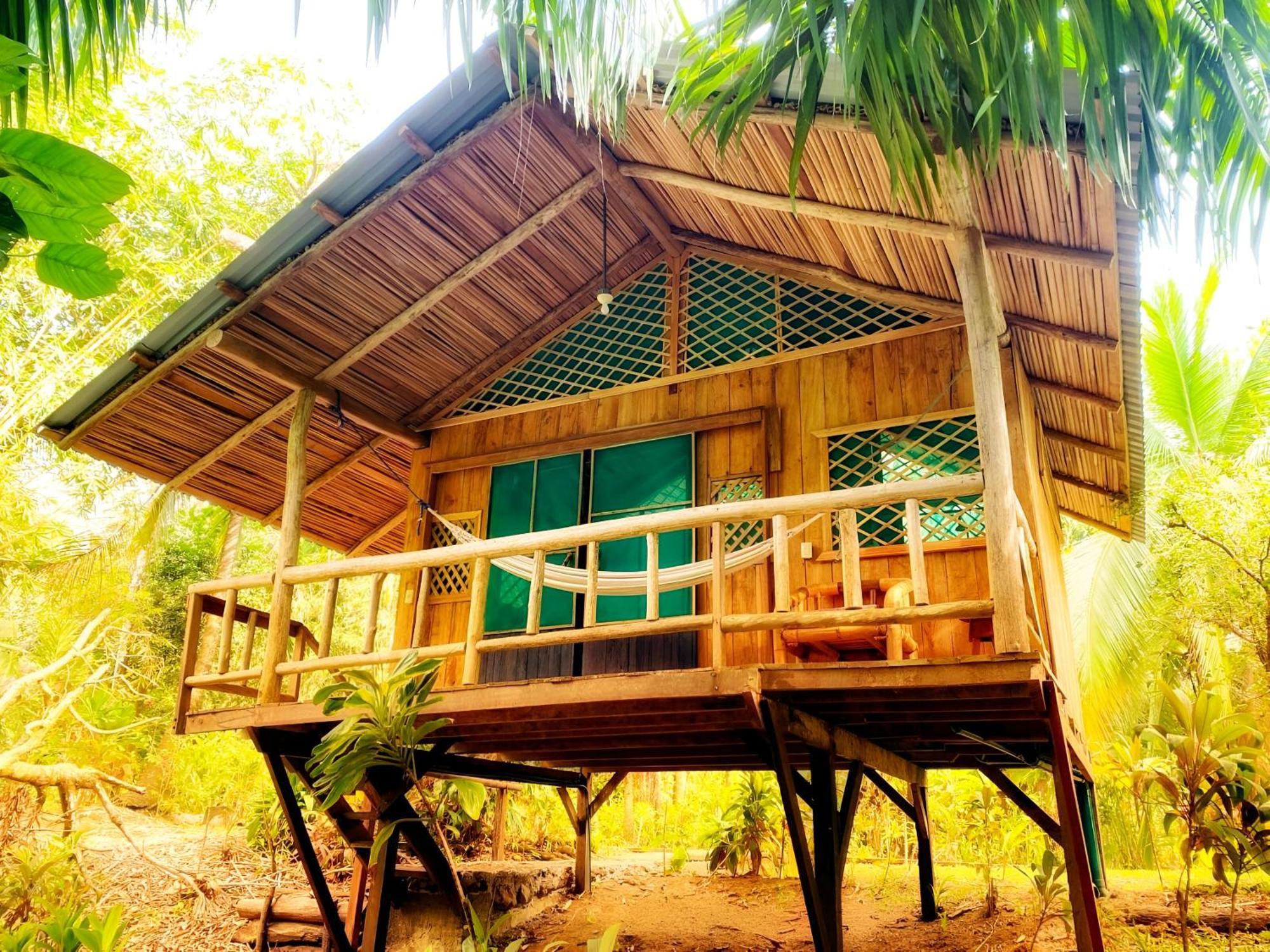 Ocean Forest Ecolodge San Pedrillo ภายนอก รูปภาพ