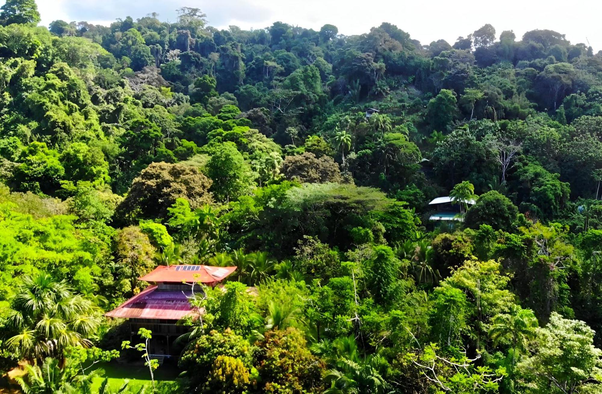 Ocean Forest Ecolodge San Pedrillo ภายนอก รูปภาพ